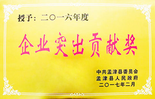 jiuyou.com节能荣获孟津县2016年度“企业凸起贡献奖”荣誉称号